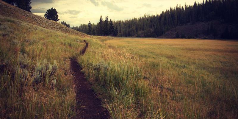 东欧传统橡木桑拿:选材智慧与百年保养之道