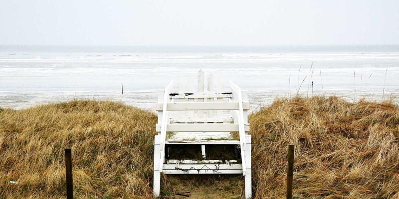 从北欧到全球:揭秘桑拿养生与冷热交替疗法的科学力量