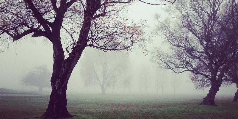 德国公共桑拿礼仪与裸体文化解析:从桑拿设备到文化禁忌的完全指南