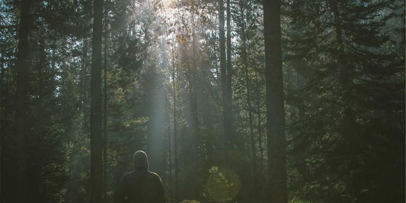 桑拿文化大不同：揭秘瑞典Bastu与芬兰Sauna的五大核心差异