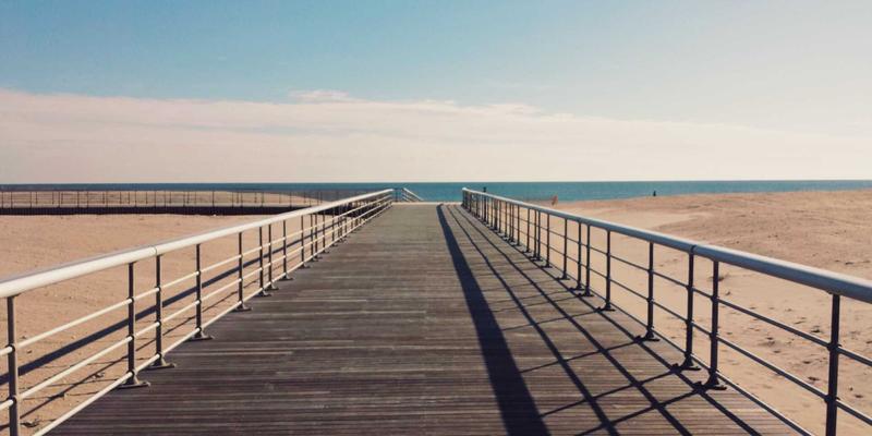 法国葡萄酒产区的桑拿革命：当葡萄藤热疗遇见橡木桶蒸汽，解锁欧洲养生新境界