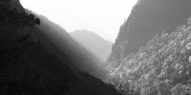 穿越千年的疗愈智慧:揭秘希腊岛屿地中海草本蒸汽浴