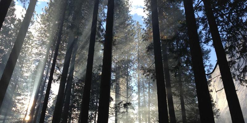 穿越时光的疗愈:探秘捷克卡罗维发利,欧洲心脏的地热桑拿养生秘境